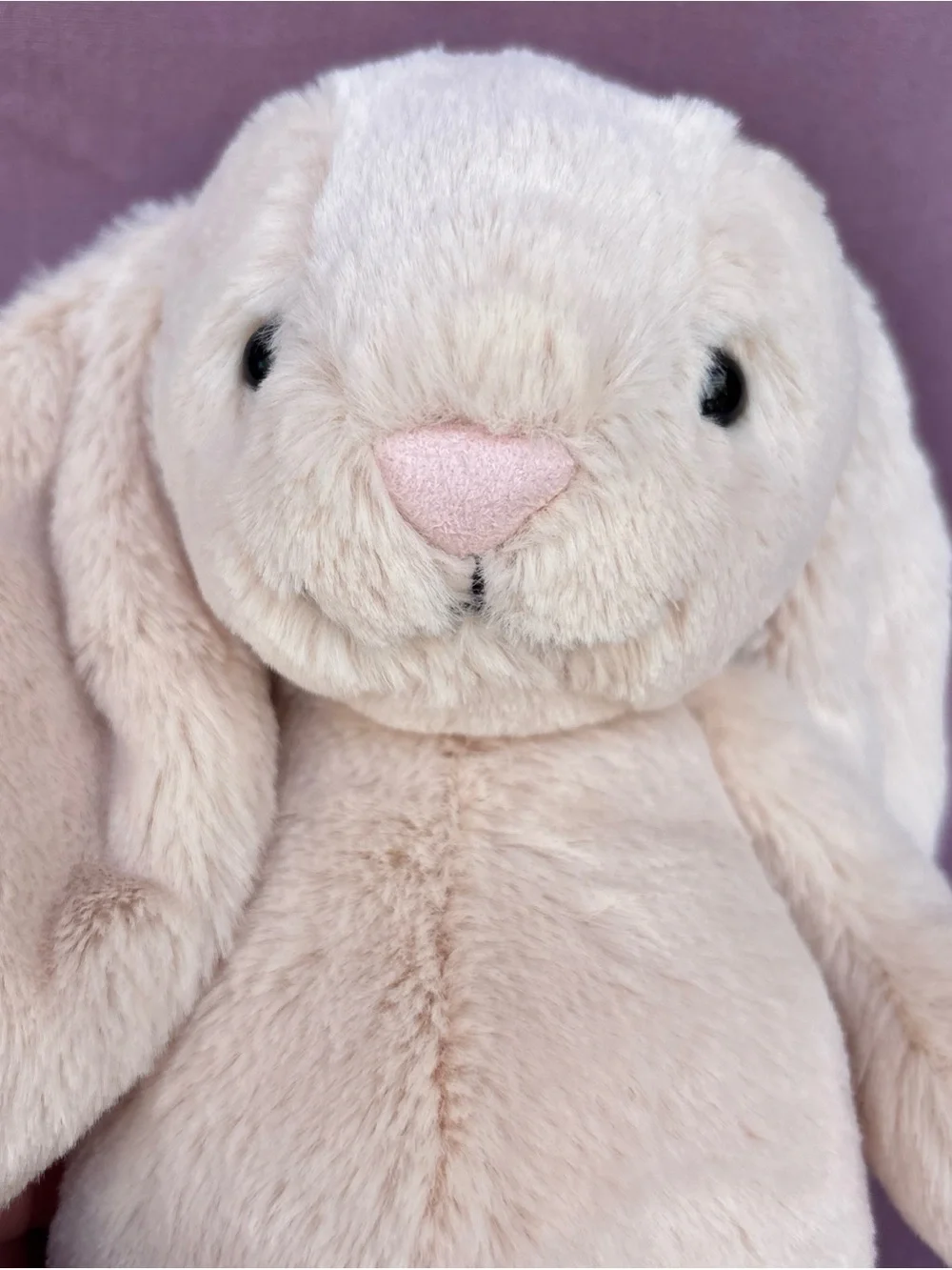 EXCLUSIVE Jellycat Bashful BUNNY JUNIOR in-hand Authentic NWT Shanghai creme